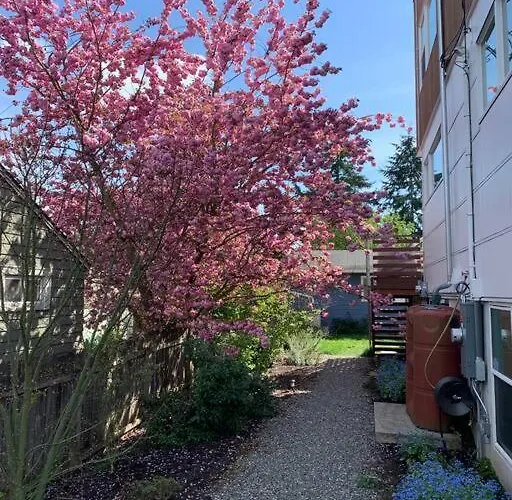 Apartmán s 1 ložnicí
